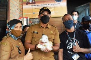 Wakil Bupati Kuningan, H. M Ridho Suganda, SH., M.Si saat melakukan kunjungan ke Kelompok Peternak Muda (KPM) Farm Jaya Rabbitry, di Desa Bojong, Kecamatan Cilimus, 